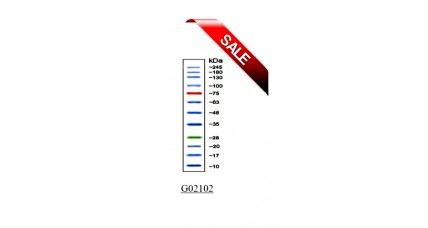 AccuRuler Plus Prestained Protein Ladder 10X 250ul  + 5 kits of 200ml ECL Solution